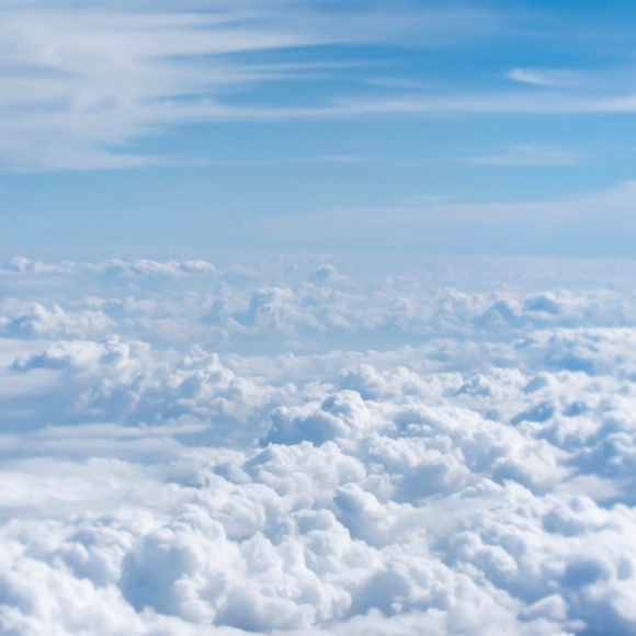 Meet your Posher, Jessica - Picture 1 of 1